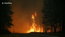 Intense raw footage from Hog Fire in northern California
