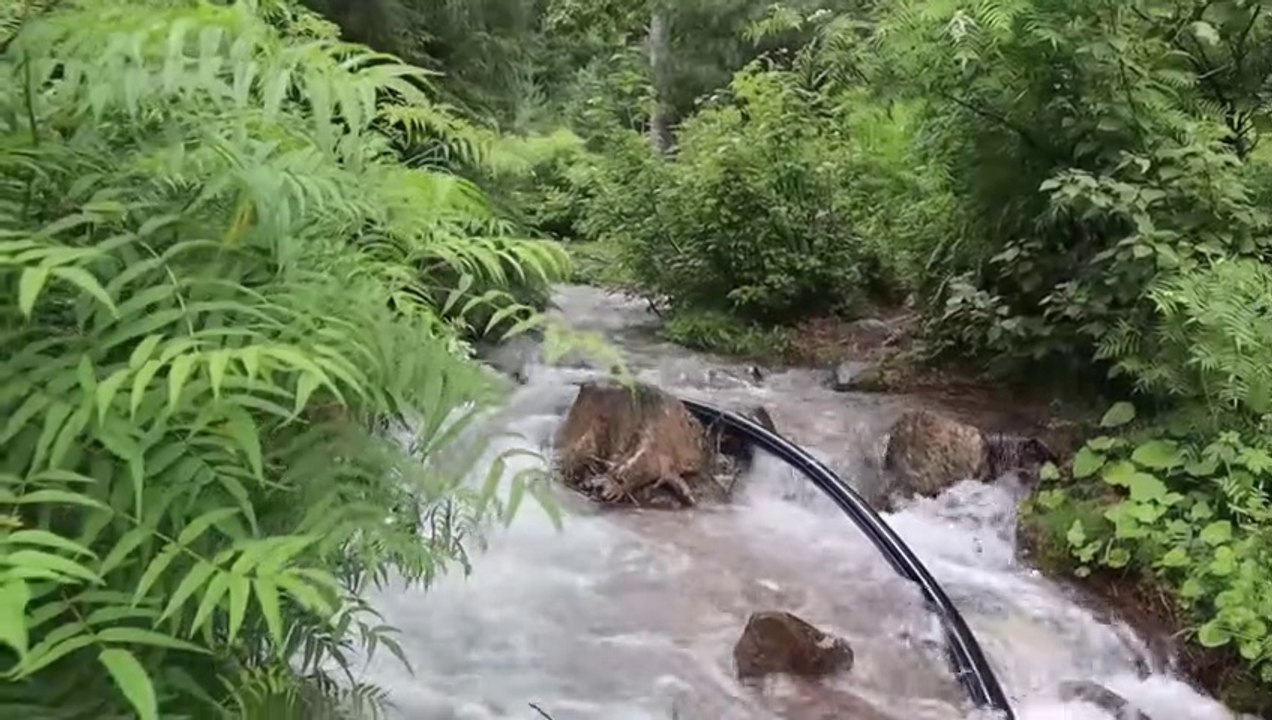 Daal Chawal Recipe - Naran K Famous Daal Chawal - Naran Village Style Dal Chawal - Mubashir Saddique - YouTube