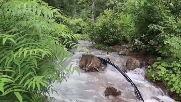 Daal Chawal Recipe - Naran K Famous Daal Chawal - Naran Village Style Dal Chawal - Mubashir Saddique - YouTube