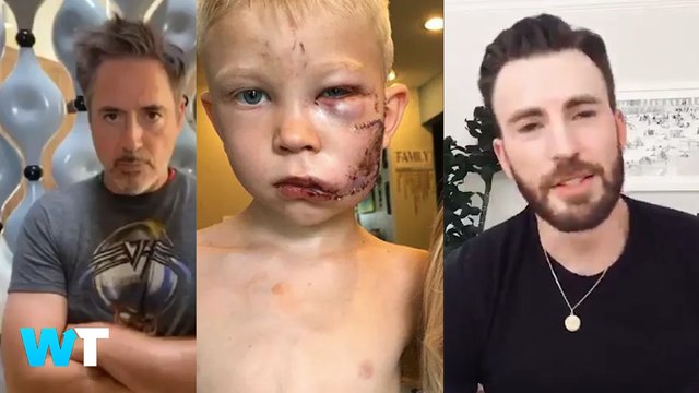 The Avengers Praise 6-Year-Old Hero Who Saved Sister From Dog Attack