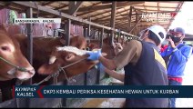 Pemeriksaan Kelayakan Hewan Kurban Kembali Dilakukan DKP3 Banjarmasin Jelang Idul Adha