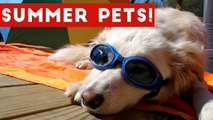 Funniest Summer Pets of 2017 Compilation _ Funny Pet Videos