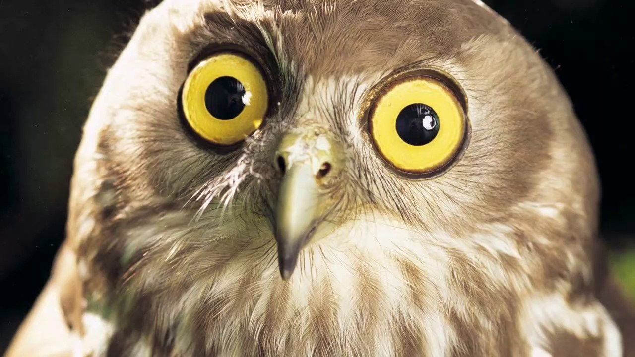 20 Mind Blowing Facts You Won't Believe