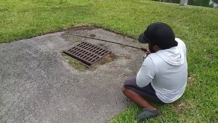 SEWER Fishing for Big Fish!