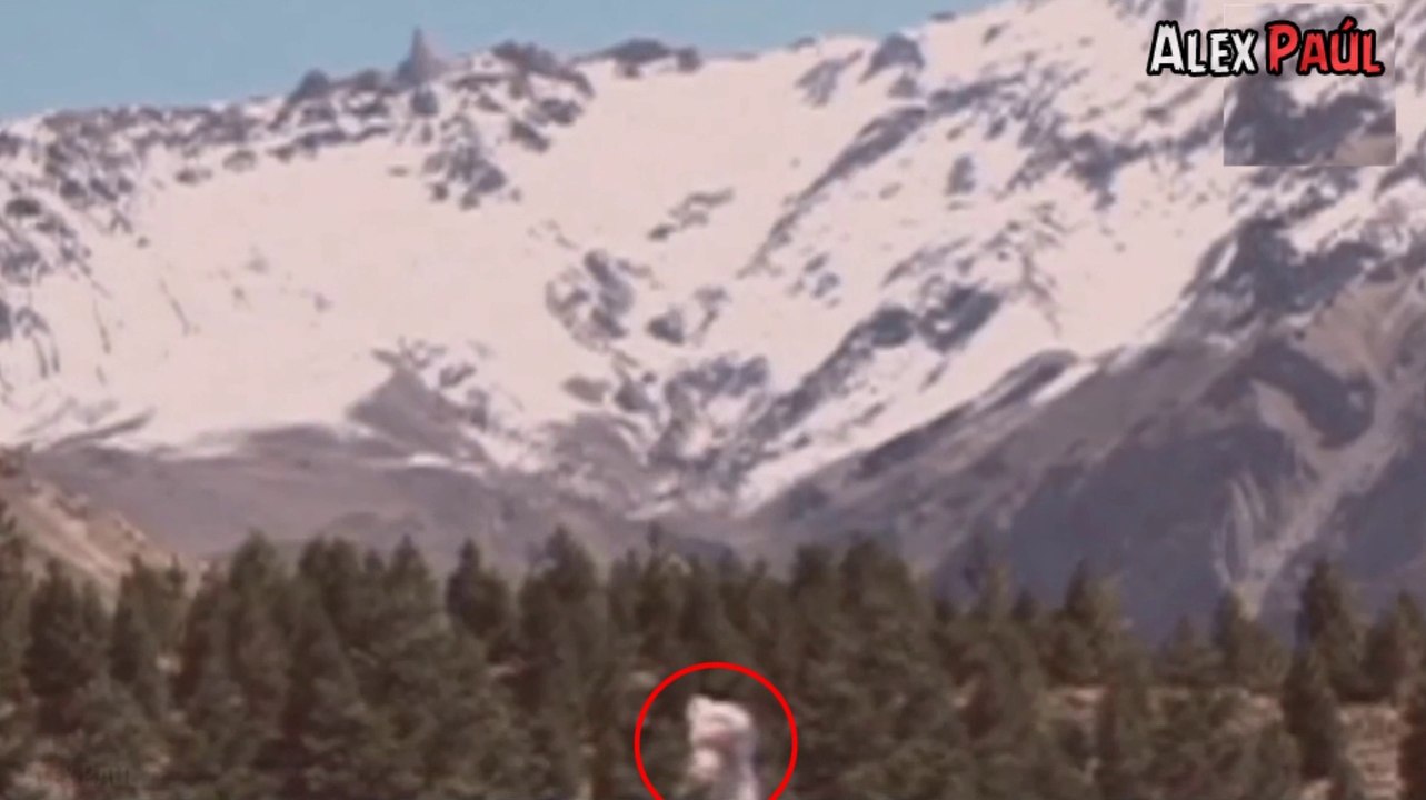 5 Apariciones Reales del YETI Captadas en Video