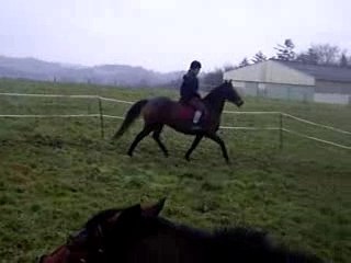 Ché michel aprem mouvementé lool 047