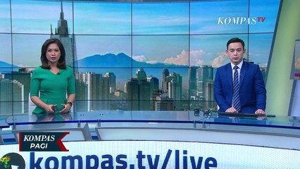 Paus Biru Mati dan Terdampar, BKSDA Selidiki Penyebabnya!