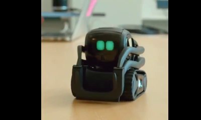 The new Anki Vector robot