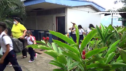 MINSA realiza fumigación y entrega de BTI en la colonia Máximo Jerez