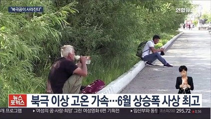 기후변화 대응 안하면…"북극곰 2100년에 멸종"