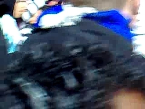 [SW87] OM-PSG 2008 5 (AUX ARMES)