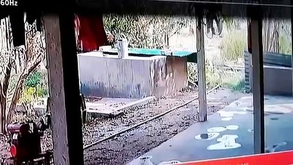 விவாசியை அடிக்க வந்த காட்டு யானை,நடந்ததை பாருங்க!