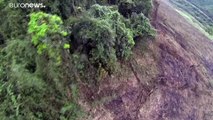 «Καμπανάκι» ΟΗΕ για την αποψίλωση των δασών