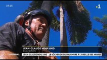 Jean-Clause Mou Sing : le bucheron qui murmure à l'oreille des arbres.