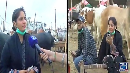 Graduate Young Girl Sales | Sacrificial Animals In Cattle Market 2020