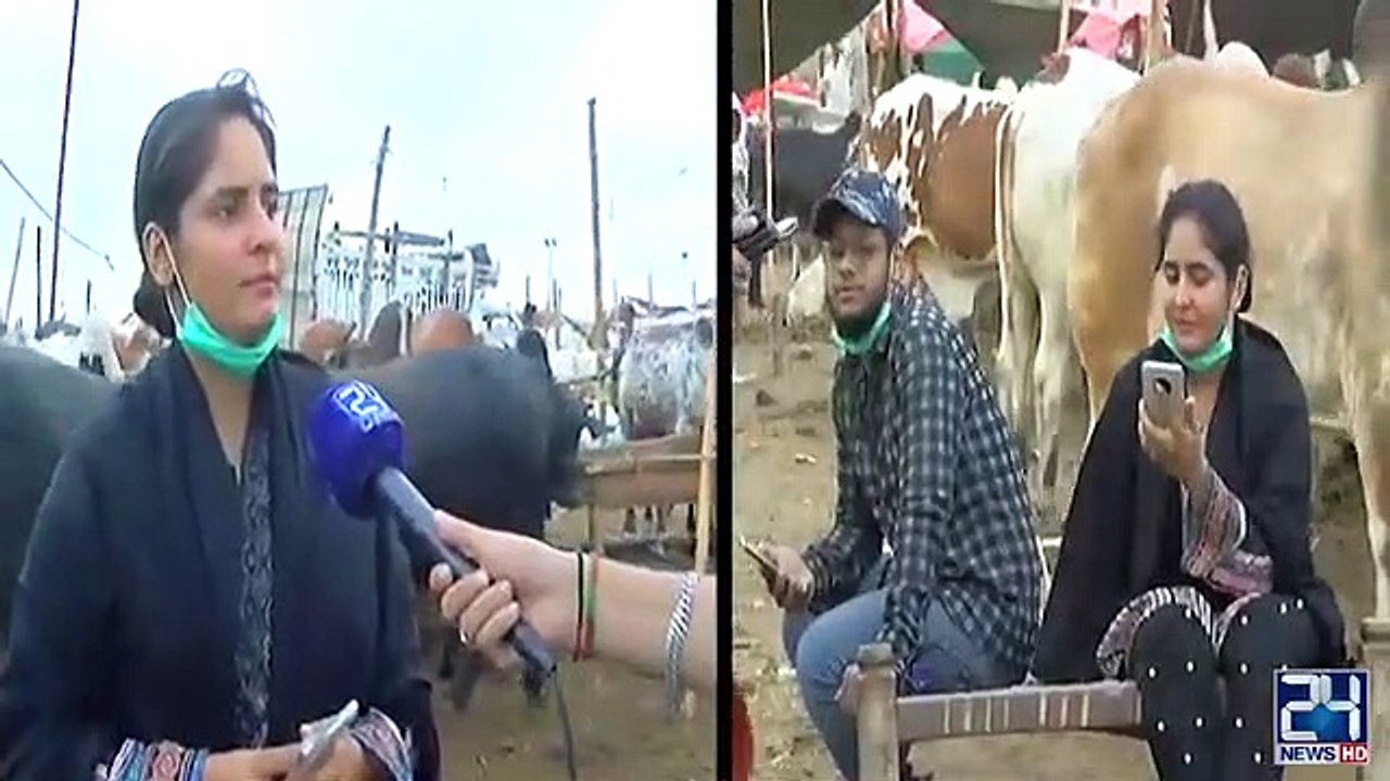 Graduate Young Girl Sales | Sacrificial Animals In Cattle Market 2020