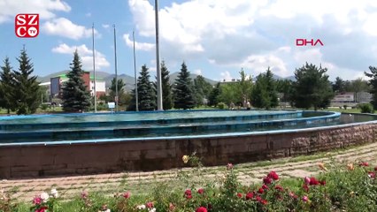 Yasağa ve tehlikeye rağmen süs havuzunda yüzüyorlar