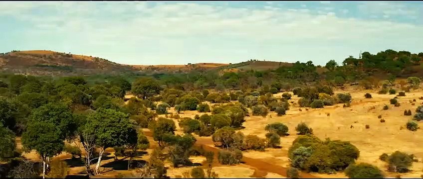 Megan Fox, aslanlara karşı! Aksiyon filmi Rogue , 28 Ağustos'ta dijitale geliyor