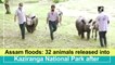 Assam floods: 32 animals released into Kaziranga National Park after treatment