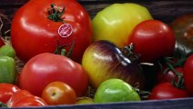 Tomates farcies façon végétariennes