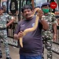 Sand Boa snake captured in CRPF campus in Visakhapatnam