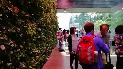 Jewel Changi airport Singapore Indoor Waterfall -Rain Vortex