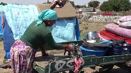 Edirne'de meslekleri teknolojiye yenik düşen romanlar, göçebe hayatı yaşıyor