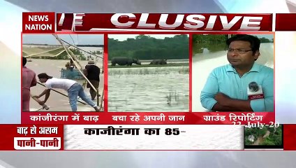 Homes of animals submerged along with humans in flood