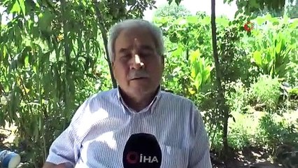 Pınar Gültekin cinayetine tanık olan komşu konuştu: Evde yangın var sanıp gittik, Metin bir şeyler yakıyordu