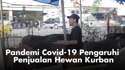 Pandemi Covid-19 Pengaruhi Penjualan Hewan Kurban