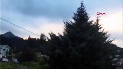 ABD'de 7.8 büyüklüğünde deprem! Tsunami alarmı verildi