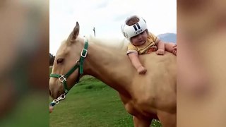 TRY NOT TO LAUGH - New Funny Babies and Animals - Funny Baby Video Compilation 2020