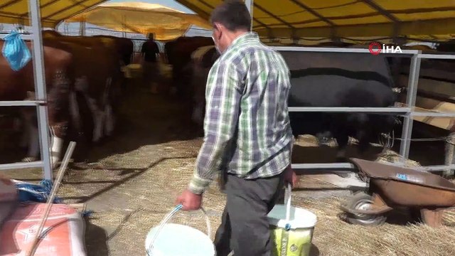 Büyükçekmece’de kurban kesim ve satış alanı bayrama hazır