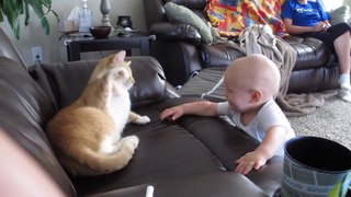 TRY NOT TO LAUGH - New Baby and Cat Fun and Fails - Funny Baby Video Compilation 2020