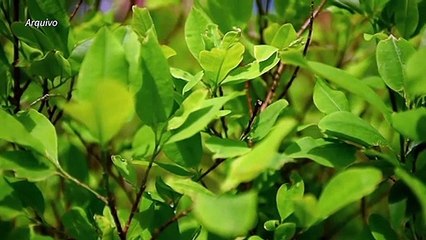 Queda de helicóptero militar deixa 9 mortos na Colômbia