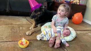 TRY NOT TO LAUGH - New Funny Baby And Siblings Trouble Maker - Funny Baby Video Compilation 2020