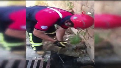 İtfaiyeden nefes kesen kurtarma