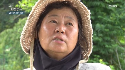 산중 생활 7년 차, 건강을 위해 산을 선택한 자연인