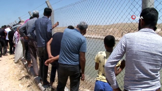 Sulama kanalına giren kuzenler akıntıya kapılarak kayboldu