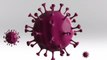 Infographic: 10 countries with most deaths due to coronavirus