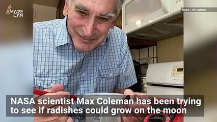 At-Home NASA Experiment Finds Radishes Might Grow in Lunar Soil