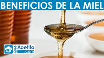 8 Propiedades y Beneficios de la MIEL | QueApetito