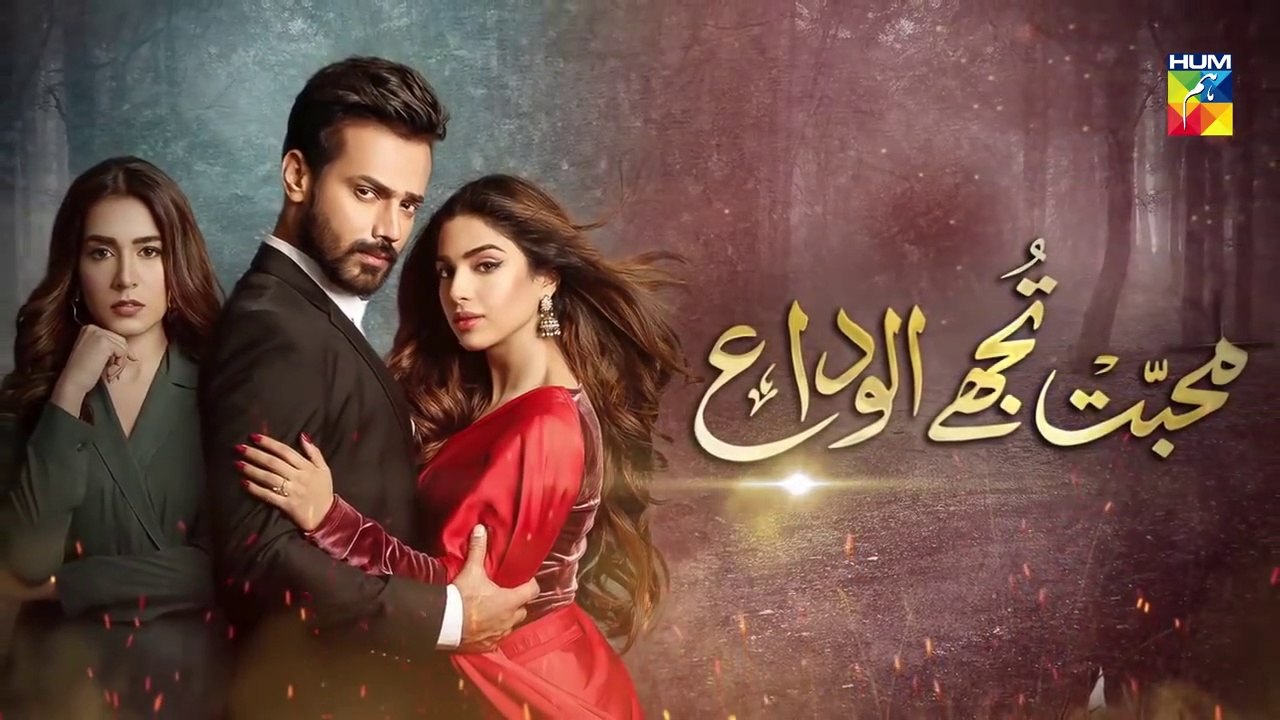 Mohabbat Tujhe Alvida Episode 6 HUM TV Drama 22 July 2020
