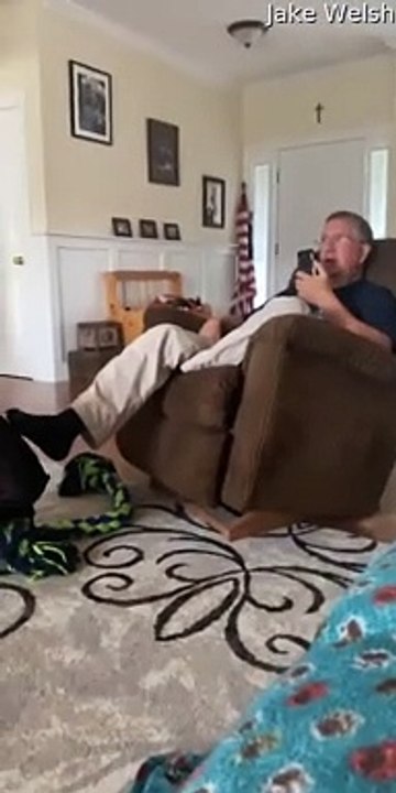 Persistent Pup Really Wants to Play