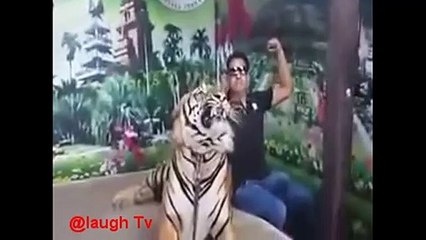 Most Viral Funny Videos 2020 Funny Pranks Try Not To Laugh Challenge