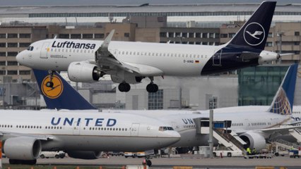 CEOs of United, American, Lufthansa, More Propose Joint Testing Program to Restore Air Tra