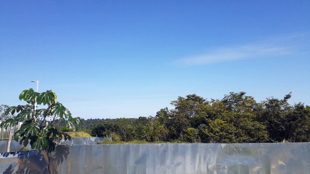 [SBEG Spotting]Airbus A350-900 PR-XTD na final antes de pousar em Manaus vindo de Guarulhos(22/07/2020)