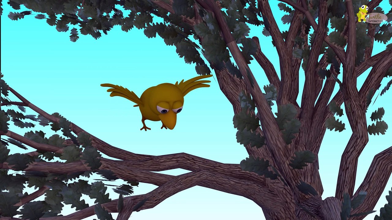 3D Nursery Rhymes Story - Bits or Paper - Are you sleeping - I hear Thunder Nursery Rhyme - Turtle Interactive