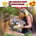 Les animaux sont incroyables