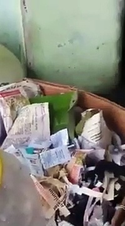 Cette souris sauve ses bébés de la noyade pendant une inondation